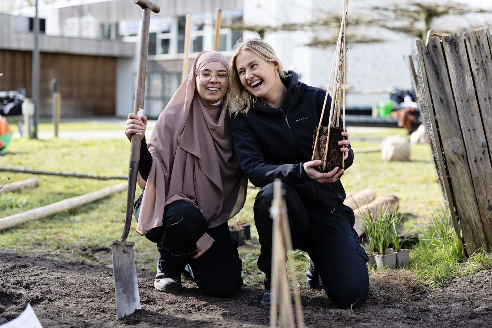 trees-for-schools