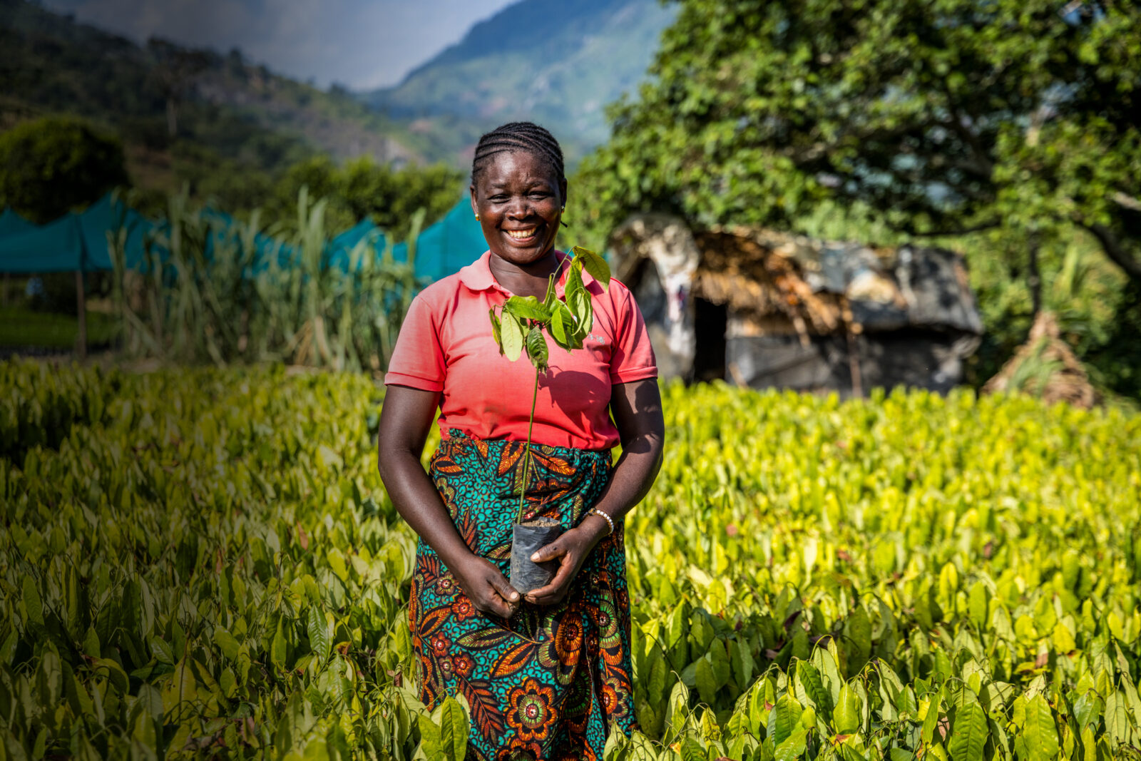trees-for-all-tanzania